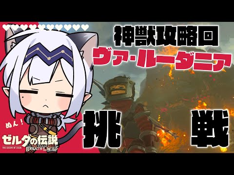 【ゲーム配信】ティアキンクリアしたのでもう一回ブレワイを旅したい！#10【BotW】