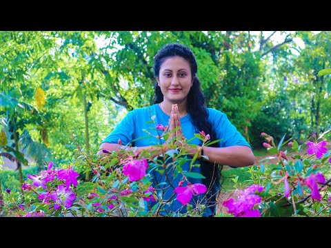 Thanksgiving|❤ | Poorna - The nature girl |