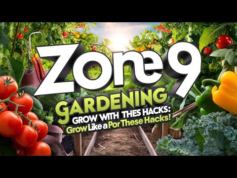 Zone 9 Gardening for Beginners: Grow Like a Pro with These Hacks