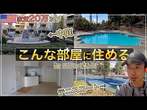 【20万の部屋３軒見せます】高い…アメリカのアパートのルームツアー｜アメリカ生活