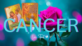 💓 CANCER RARE Specific Reading, SOMETHING'S BREWING! Tarot Reading Cancer #love #soulmate #horoscope