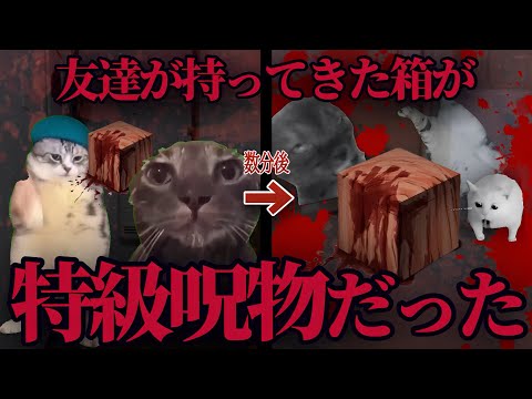 【実話】友達が特級呪物を持ってきた話【猫ミーム】