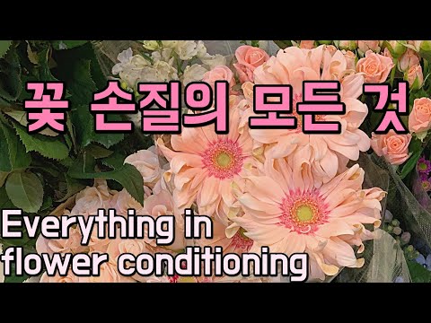 Florist vlog - flower conditioning, flower shop routine, tips on how to start a flower shop