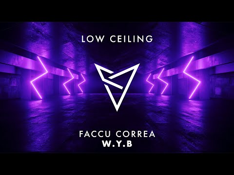 Faccu Correa - W.Y.B