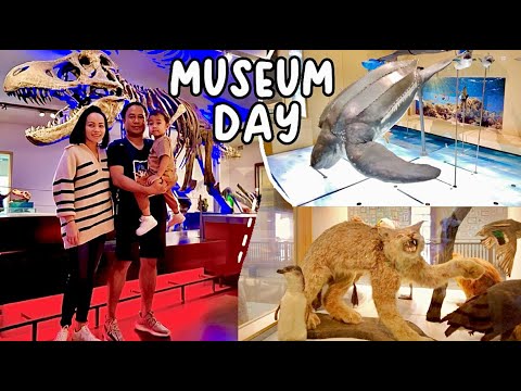 Day in my life| Hancock Museum,|?Grocery shopping shopping | Slice of Life🪷