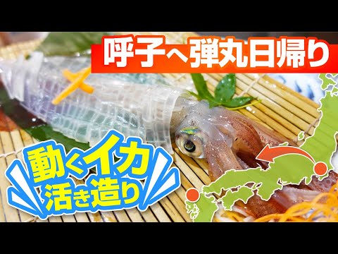 動くイカ活き造り！佐賀・呼子まで日帰り弾丸グルメ旅【東京発】