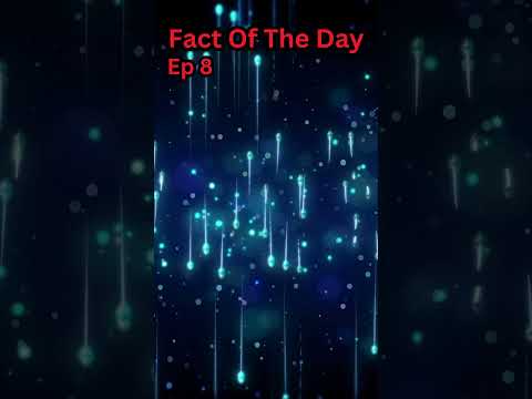 Fact Of The Day| Ep 8| Brain Storage #shorts #trending #viral #speed #brain