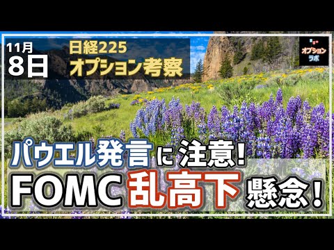 【日経225オプション考察】11/8 パウエル発言に注意せよ！ FOMCで金利高止まりからの株安に注意！