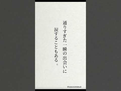 出会いって運命なのかな#励ましの言葉 #名言 #心に響く言葉 #失恋ポエム