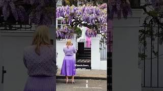 Wisteria lovers #wisteria #fairytalesoflondon #london #londonwalk #londonbylondoners #londonspring