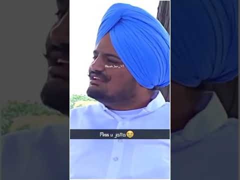 ਸਿੱਧੂ ਮੂਸੇਵਾਲਾ (Miss you jatta )Sidhu moosewala golden words✨ Legend Sidhu moosewala status #shorts