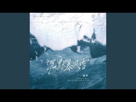 沉默暴风雪