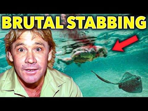 Steve Irwin's LAST 24 HOURS... (Heartbreaking)