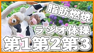 第40回【ラジオ体操指導員のラジオ体操第一第二第三】脂肪燃焼・ダイエットにも　一日の始まりはラジオ体操から😁