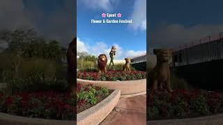 EPCOT FLOWER & GARDEN 2023 🌸 #disneyvlog #epcot #epcotflowerandgardenfestival #flowerandgarden