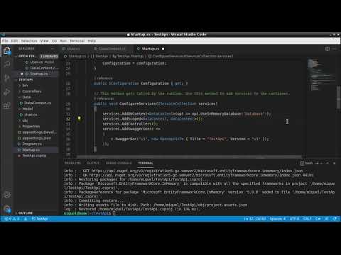 How to create a simple project Web API with VSCode and Entity Framework in a Linux system