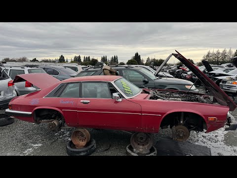 1986 Jaguar XJS at Junkyard