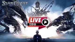 24.12.22(일) 【 인피쉰 생방송 다시보기 】 스타 빨무 스타크래프트 Starcraft