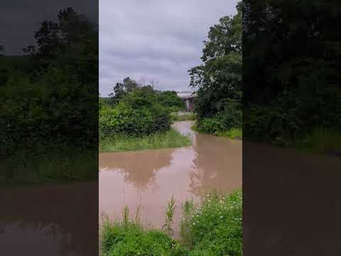 Germany Flood - Neckar River #Stuttgart #Wendlingen #GermanyFlood