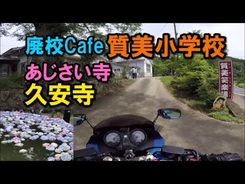 久安寺紫陽花浮かべ行事 廃校を利用したpandozo cafe【カズClionライダー】