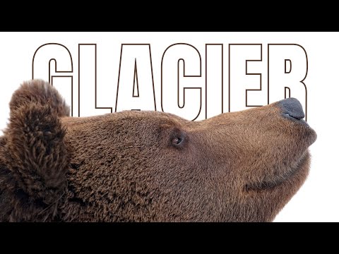 Glacier National Park ATTRACTIONS | Travel Guide