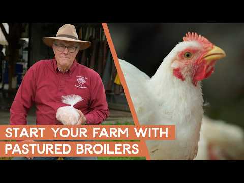 Why the pastured broiler is a great way to start out your farm | Joel Salatin