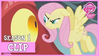 Fluttershy vs. The Dragon (Dragonshy) | MLP: FiM [HD]