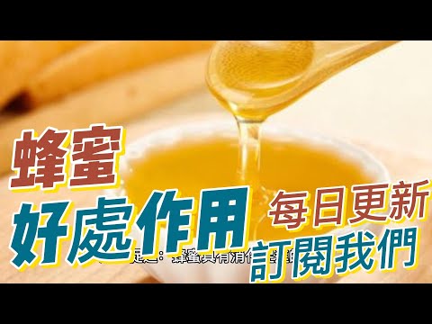 EP142 蜂蜜 Honey 的好處與作用 消化促進 營養補充 健康  養生 天然 食療 原形食物  素食