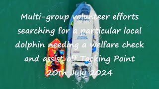 Multi-volunteer group effort for dolphin welfare check and assist. Tacking Point. 20th July 2024