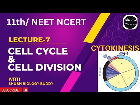 Lec-07 Cell cycle & cell division CYTOKINESIS #neet2023 #neetbiologyconcept #biologyncert