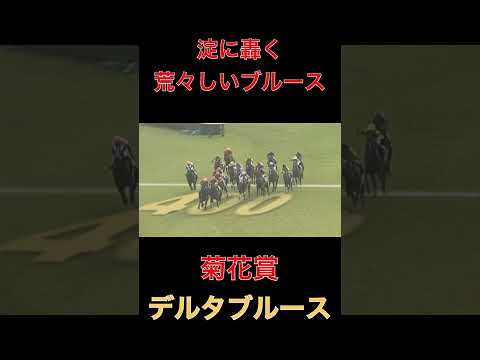 淀に轟く荒々しいブルース、デルタブルース【競馬】#競馬#デルタブルース