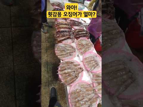 죽도시장  싱싱한 횟감용 오징어 한무더기에 얼마?