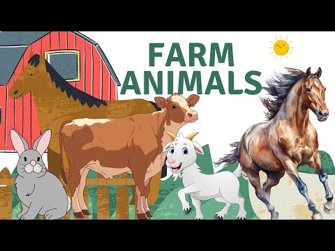 Farm animals