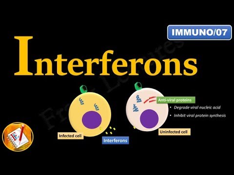 Interferons: INF-α, INF-β and INF-γ (FL-Immuno/07)