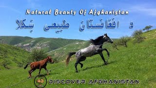 The Natural Beauty Of Afghanistan | د افغانستان طبیعی ښکلا