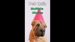 🐕Pet Quiz ~ 10 General Knowledge Trivia Questions About Pets with Multiple Choice Answers