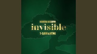 invisible