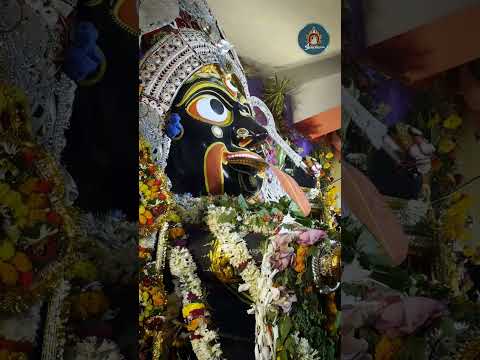 Maa Dakshinakali , Biragovindapur Bisharjan 2024 #kalipuja2024 #jagannathdhampuri #hindutemple