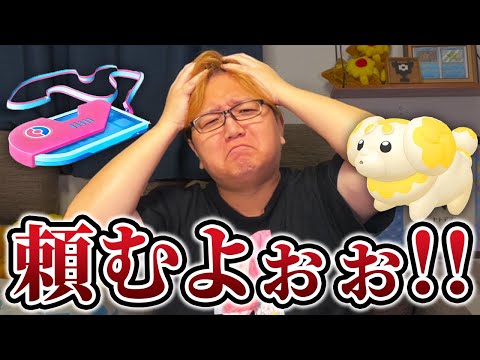 ごめんナイアン、これ分かりにくいって!!!楽しくて気付かなかったけどさぁぁぁぁl!!!【ポケモンGO】