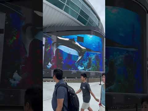 Biggest 3d screen Nassau port Bahamas 🇧🇸 #shorts #viralvideo #ytshorts