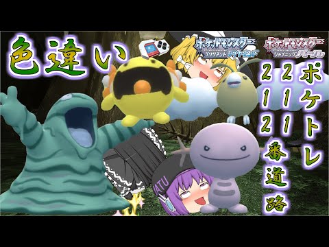 【ポケモンBDSP】211・212番道路出てくる色違いポケトレで全部ゲットしちゃお♡女神が過ちを犯せば色違いはすぐに出ます【ゆっくり実況】