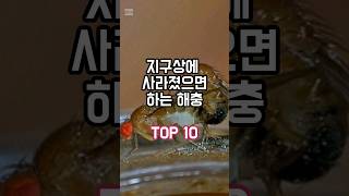 지구상에 사라졌으면 하는 해충 TOP 10