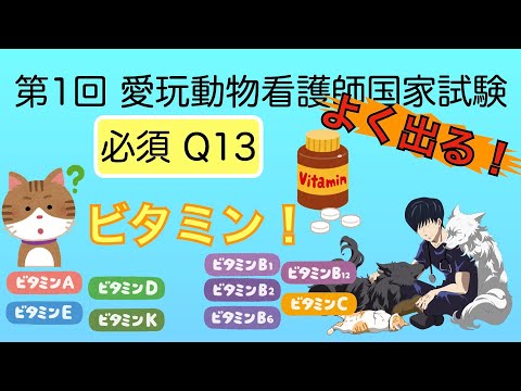 Q13 第1回愛玩動物看護師国家試験 必須