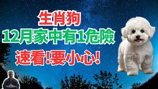 生肖狗！命理測算：你12月家中有狀況，1危險正悄悄來襲，這事千萬別碰！可化解！ #2024年生肖狗運勢 #2024年生肖狗運程 #2024年屬狗運勢 #屬狗運程