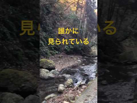 朝早の山中で突然恐怖が？ #一人旅 #山奥  #見