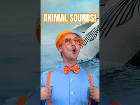 Learn to Make ANIMAL Sounds🐷🐓🐶! Oink! Bark! Meow! #blippi #shorts #animals