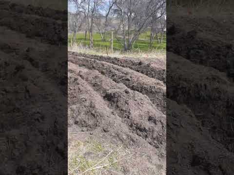 #tilling the #potato #garden #byhand #working #homeless #pineridge #southdakota