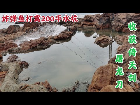 【阿向趕海】炸彈魚打窩200平巨石坑 巨大 石斑現身令人狂喜 收穫倚天劍屠龍刀