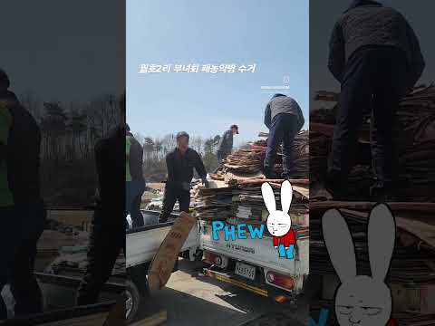 부녀회 폐농약병 수거  #부녀회 #마을공동체 #동네한바퀴