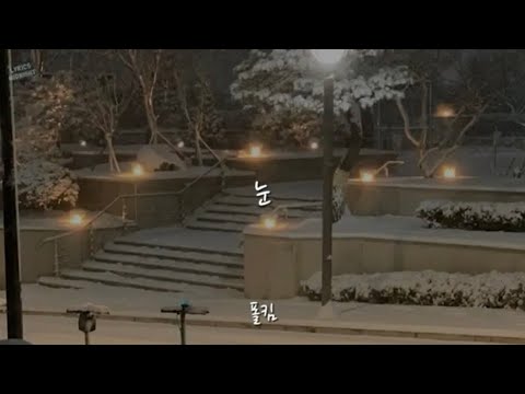 폴킴- 눈